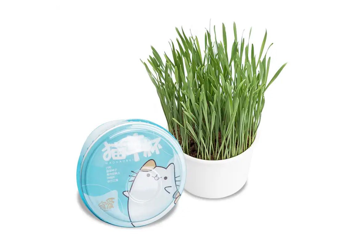 1742971021410601.jpg 貓草杯01.jpg